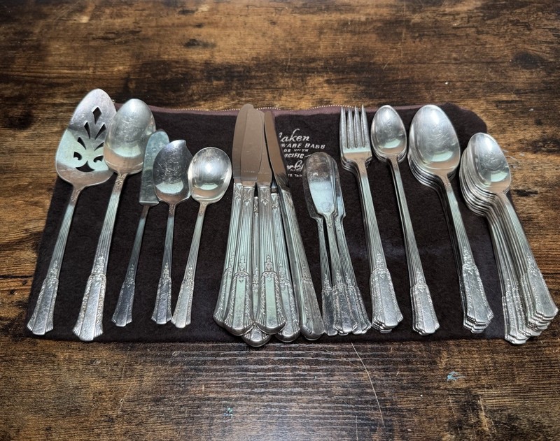 47 Piece Vintage 40s Rogers Treasure Floral SILVER PLATED IS Flatware Utensils