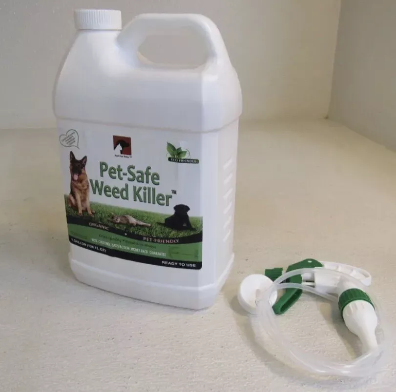 Pet safe weed online killer