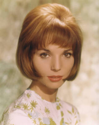 Elsa Martinelli portrait of the Italian actress circa 1962 Old Photo