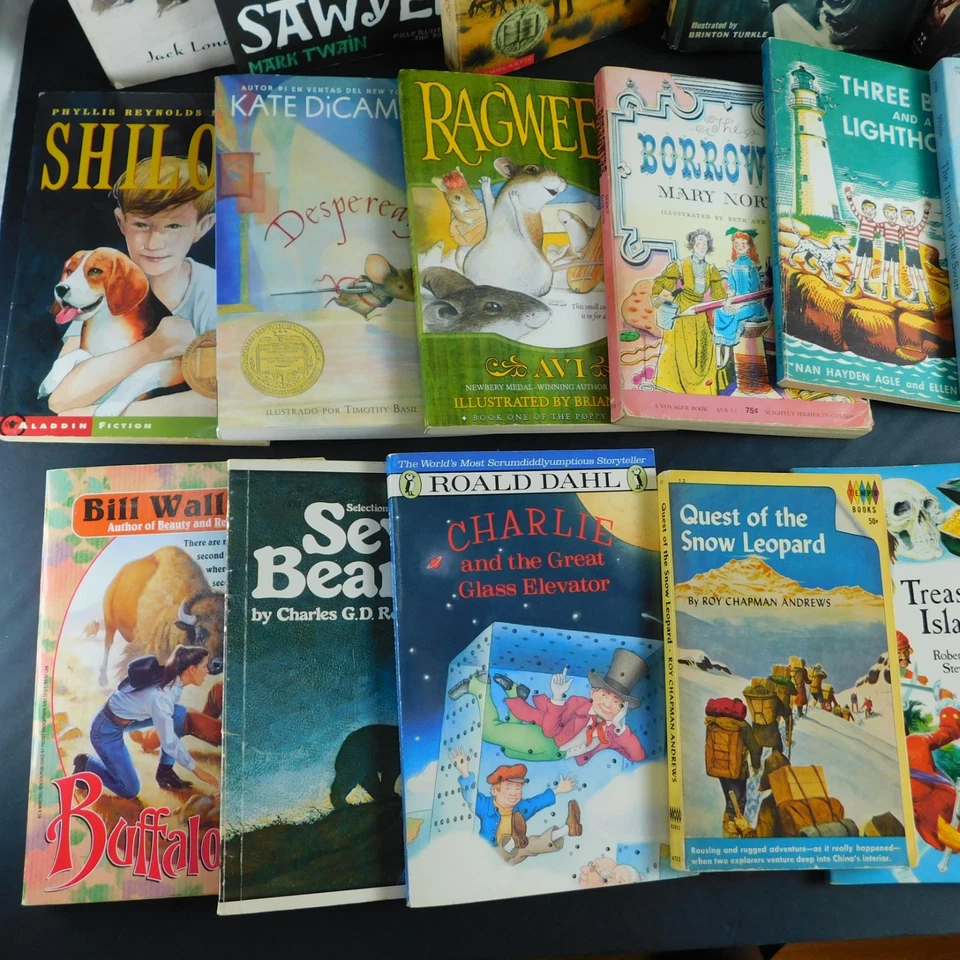 Childrens Kids Chapter Books, Lot of 20 New and Used, Tolkien Lemony Snicket GUC - Image 3 of 4