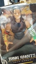 Wwe Jakks 14 Inch Jeff Hardy