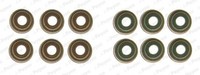 Payen Dichtungssatz, Ventilschaft U.A. FüR CitroËN, Daihatsu, Peugeot, Subaru