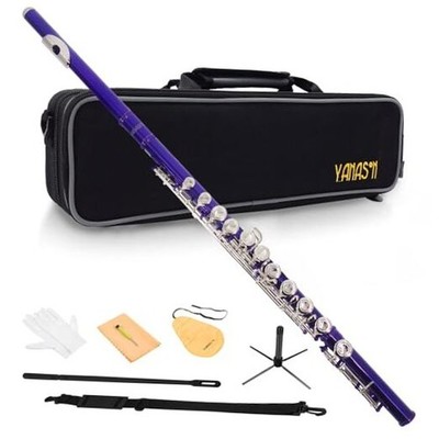 C Flute Closed Hole 16 Keys Flute Nickel-Plated for Beginner, Student Purple