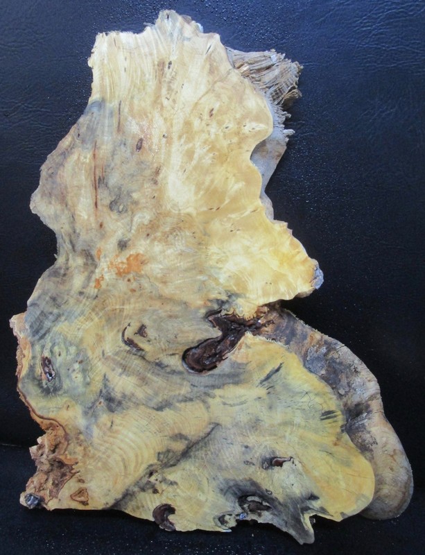Buckeye Wood Natural Edge Slab Crafts  #D674  27" x 22 1/4" x 2 1/4"+