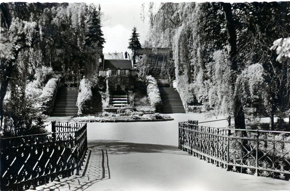 12-447 Ansichtskarte Riesa Stadtpark Sportstadt Elbe Sachsen DDR - Bild 1 von 1