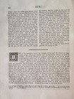 Foto 20 di 24