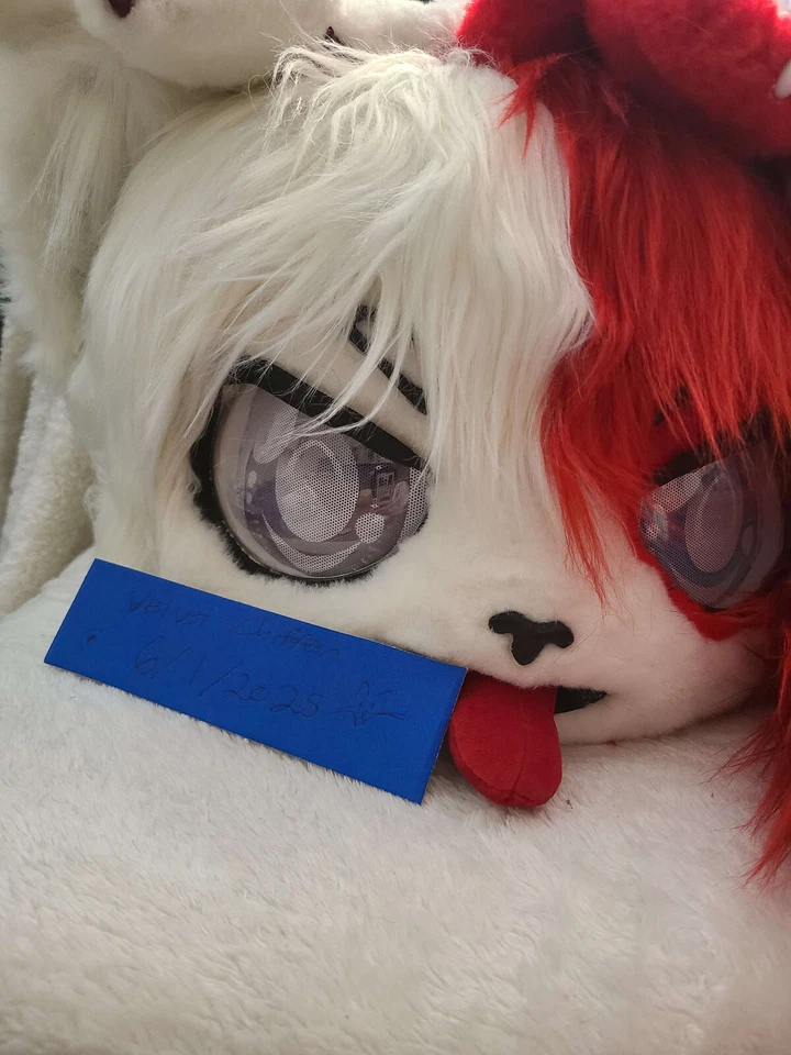 todoroki themed premade fursuit partial, head, hands, tails, and extras - Image 3 of 4