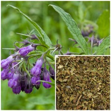 Comfrey Leaf, organic, soap making supplies, herbal extracts.