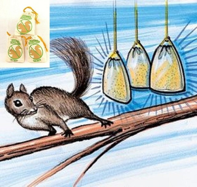 Squirrel Repellent Chaser Natural Ingredients Bird Feeders Garden