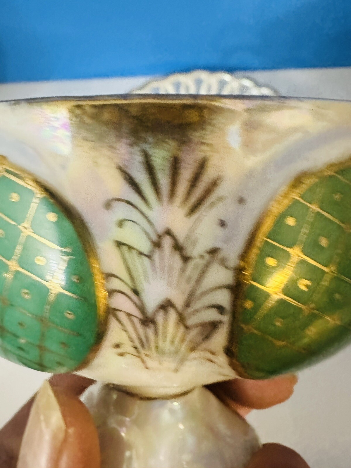Picture 6 of 6