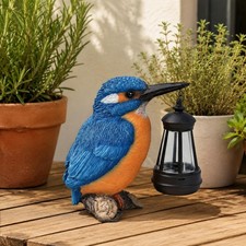 Solar Kingfisher Lantern Decorative Outdoor Decor Warm Ambient Light for Yard