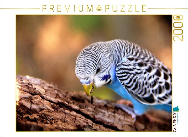 "Calvendo Puzzle \"Wellensittich Wandschmuck\" 2000 Teile Puzzle Quer | 2000 Teile"-image