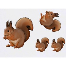 4 x 'Red Squirrel' Temporary Tattoos / Transfers TO00043247 