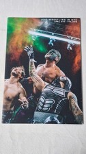Various Wrestling Photobooks / Magazines