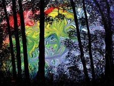 Woodland in Rainbow Swirls Forest Trees Silhouette Colorful Original Painting
