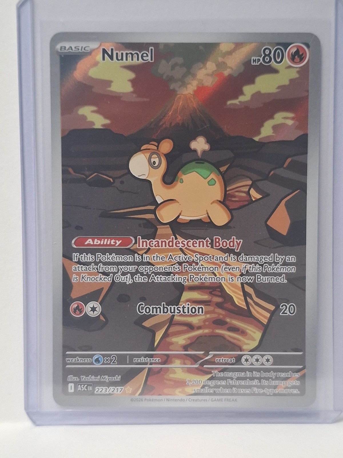 Numel 223/217 IR Ascended Heroes Pokemon Holo NM (See Description)