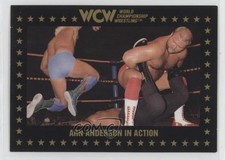 1991 Championship Marketing WCW Arn Anderson #108 09wc