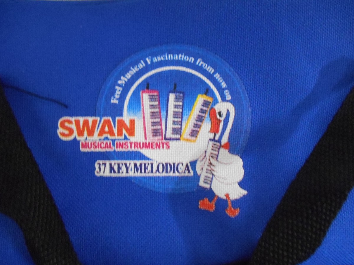 Older Melodica (Piano-Harmonica Combination) by Swan Musical