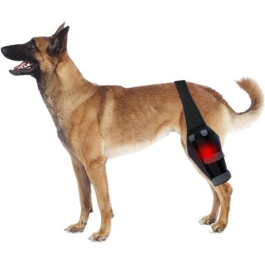 Limmax Dog Knee Brace Torn ACL Hind Leg Support, Ligament, XL - NEW!