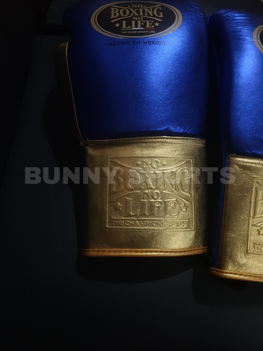 No Boxing No Life Sparring Set Boxing Gloves Head Guard Blue