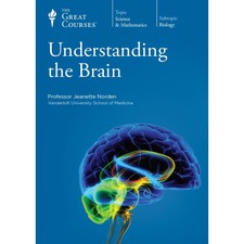 Understanding the Brain