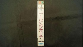 The pinnacle of SEGA Surging Aura RPG