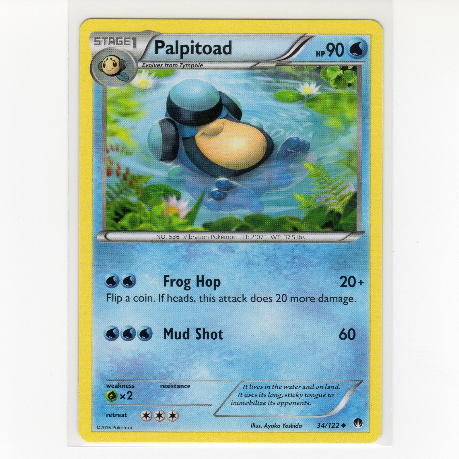 Pokémon TCG Palpitoad 34/122 XY BREAKpoint Regular Uncommon Card EN-LP 2016