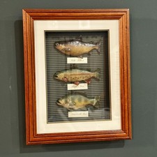 Men s fishing shadow box wall decor man cave