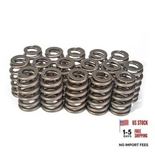 16Pcs LS Valve Springs, Performance Racing Valve Springs Compatible with GMC