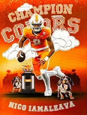 Nicoiamaleava .com Domain Names for Sale Brand Own Nico Iamaleava UCLA Tennessee