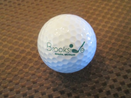 LOGO GOLF BALL BROOKSIDE GOLF COURSE GOWEN MICHIGAN EBay