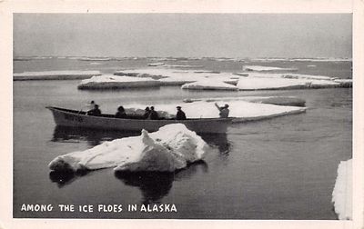 Among The Ice Floes IN Alaska ~ Boot ~ Graycraft Natürlich Finish Postkarte