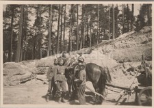 Foto Arbeitsdienst 6/371, Lindava (Lindenau) Böhmisch Leipa Sudeten, 12 D/116