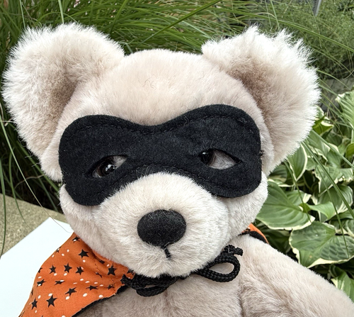 Vintage Dakin Halloween dolcetto o scherzetto orsacchiotto 10" maschera mantello zucca 1984 - Foto 2 di 9