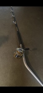 Penn International Rod | eBay