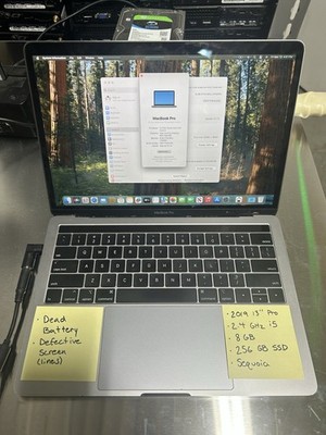 Apple MacBook Pro 13  (2019, 256GB SSD, 8GB RAM,Sequoia, Read Desc.) #0241