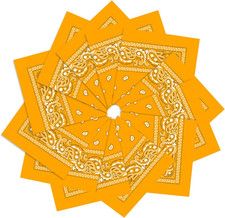 12 Pack Bandanas Unisex Paisley Cowboy Bandanas Bulk Multi Purpose Headband Scar