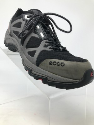 ecco receptor mens 2013