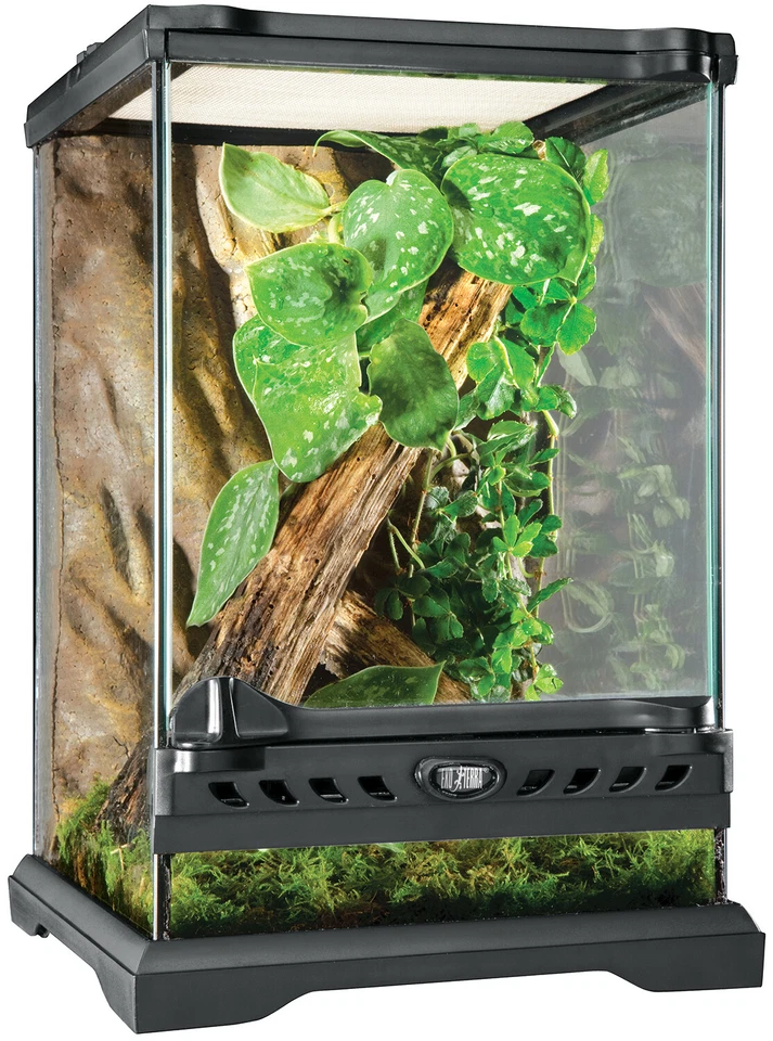 Exo Terra Terrarium aus Glas - Glasterrarium - Grösse: 20 x 20 x 30cm (LxTxH) - Bild 1 von 1