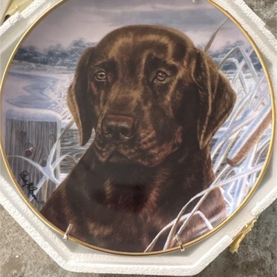 Hamilton Mint  Afternoon Watch  Labrador Retriever Collector Plate Porcelain LE