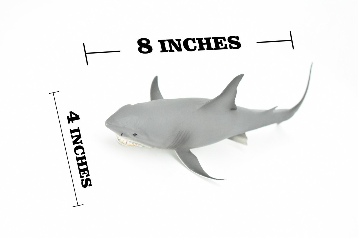 Great White Shark, Museum Quality Plastic Replica 8