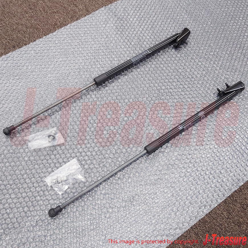 メンテナンス TailBack TB SET NISSAN X-TRAIL T30 2002-2006 Genuine Back Door Stay Assy Right