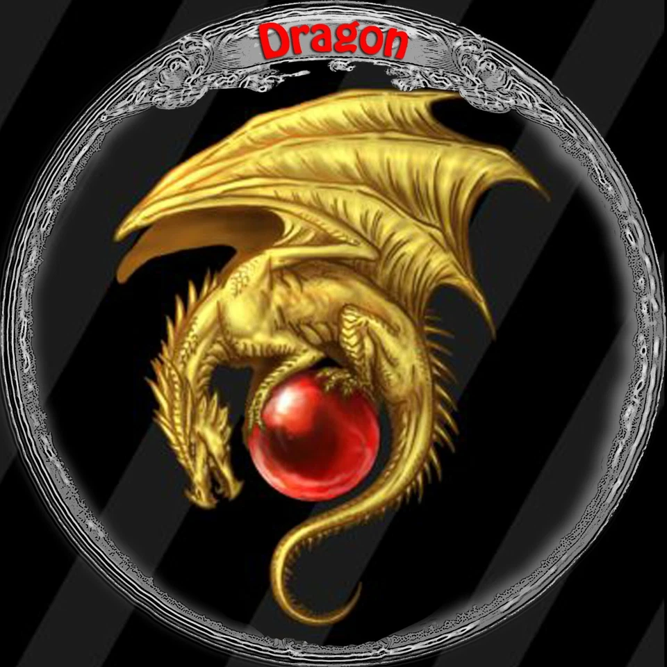 Collar Dragón Talismán Amuleto de la Suerte Colgante Medallón Joyería Dije Budista Foto 3 de 4