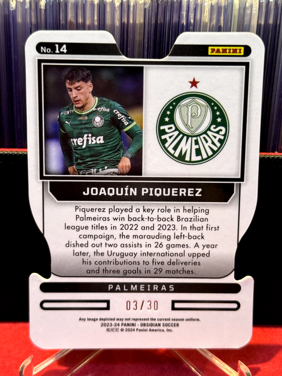 サントス アンドレイ出品 Palmeiras Endrick's Palmeiras wins