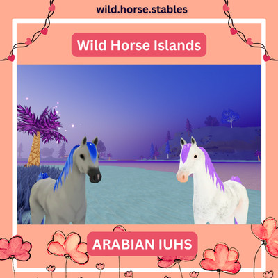 Wild Horse Islands - Arabian Island Unique Hairs/IUH