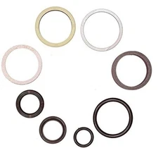 Fits Case D148100 Replacement Hydraulic Cylinder Seal Kit