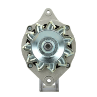 Original Neu Mahle Lichtmaschine Passend FüR Renault 65A