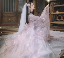 Tang Dynasty Hanfu Women Chinese Style Costume Lady Dress Traditional Robe Party