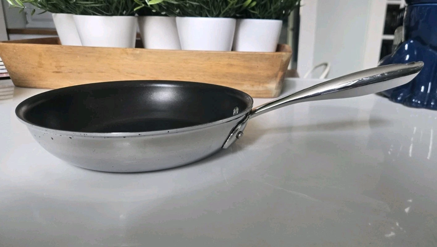 Williams Sonoma Hestan Thermo-Clad Stainless Steel Non-Stick 8” Pan Italy
Opens in a new window or t
