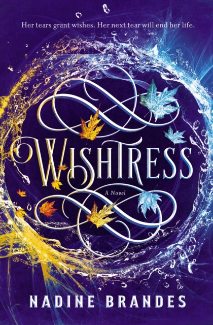 Wishtress by Nadine Brandes (Hardback Book)